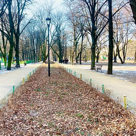 Panoramic Skyline 14th Floor National Stadium View *
